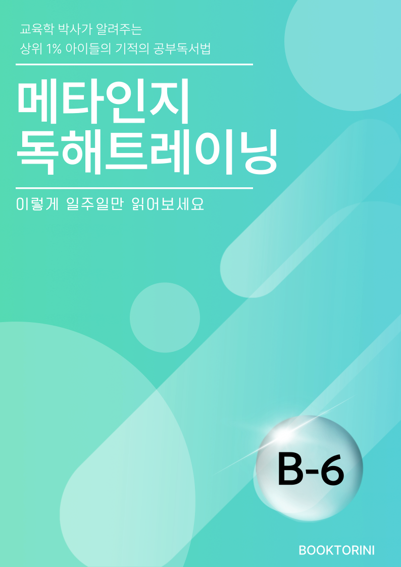 메타인지 B-6